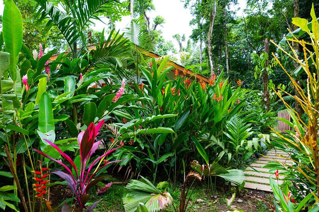 La Paz Del Caribe Adults Only Bed & Breakfast Puerto Viejo de Talamanca Exterior foto