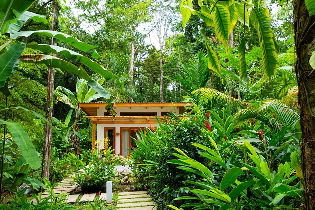 La Paz Del Caribe Adults Only Bed & Breakfast Puerto Viejo de Talamanca Exterior foto