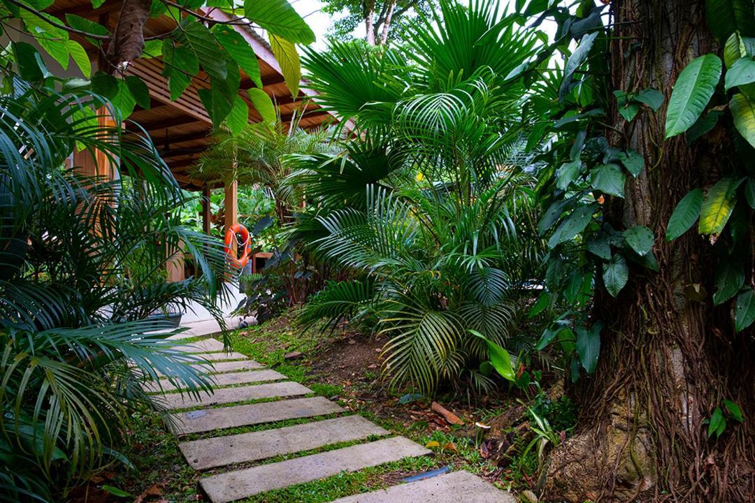 La Paz Del Caribe Adults Only Bed & Breakfast Puerto Viejo de Talamanca Exterior foto