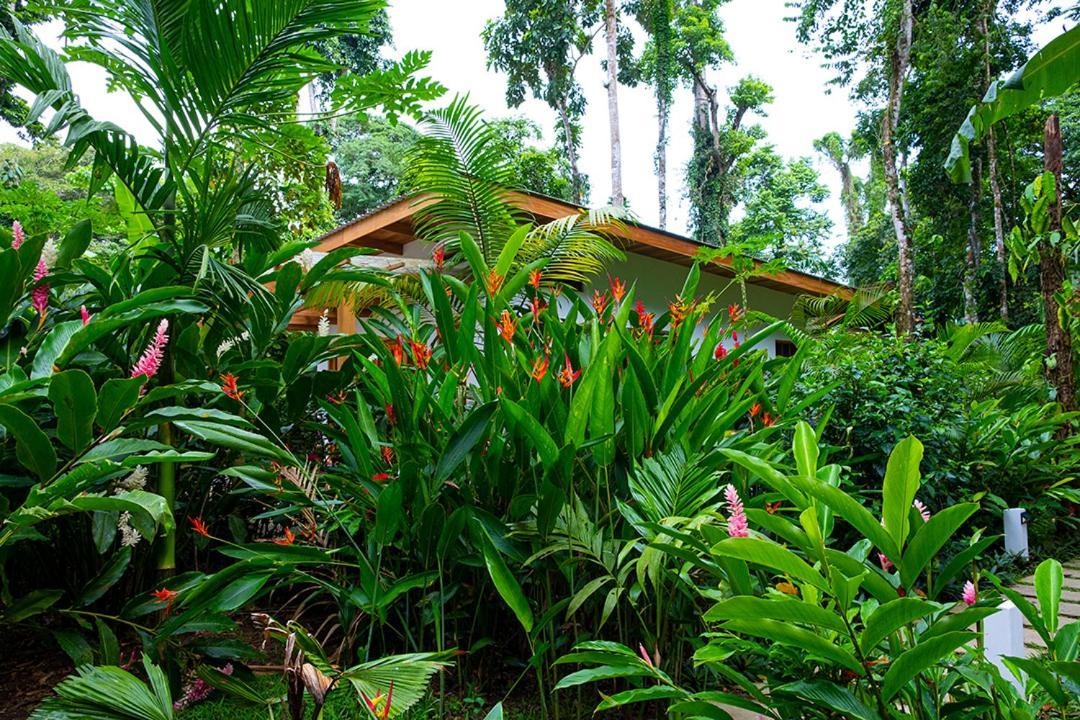 La Paz Del Caribe Adults Only Bed & Breakfast Puerto Viejo de Talamanca Exterior foto