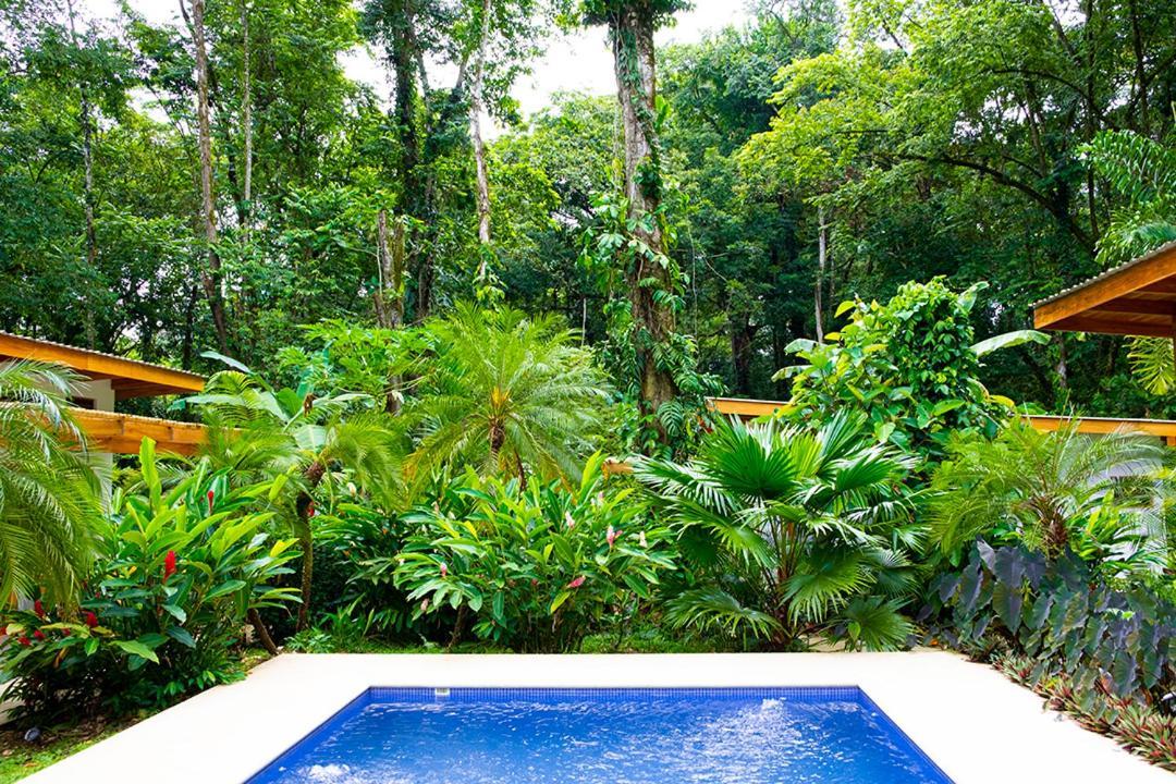 La Paz Del Caribe Adults Only Bed & Breakfast Puerto Viejo de Talamanca Exterior foto