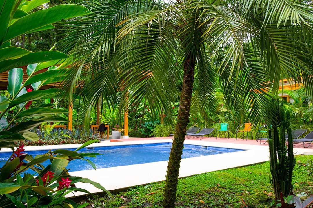 La Paz Del Caribe Adults Only Bed & Breakfast Puerto Viejo de Talamanca Exterior foto