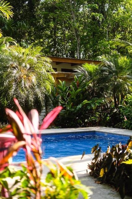 La Paz Del Caribe Adults Only Bed & Breakfast Puerto Viejo de Talamanca Exterior foto