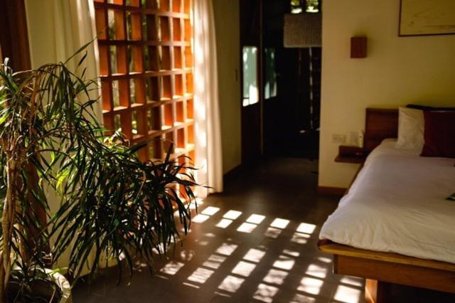 La Paz Del Caribe Adults Only Bed & Breakfast Puerto Viejo de Talamanca Exterior foto