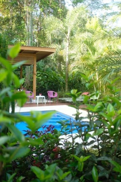 La Paz Del Caribe Adults Only Bed & Breakfast Puerto Viejo de Talamanca Exterior foto