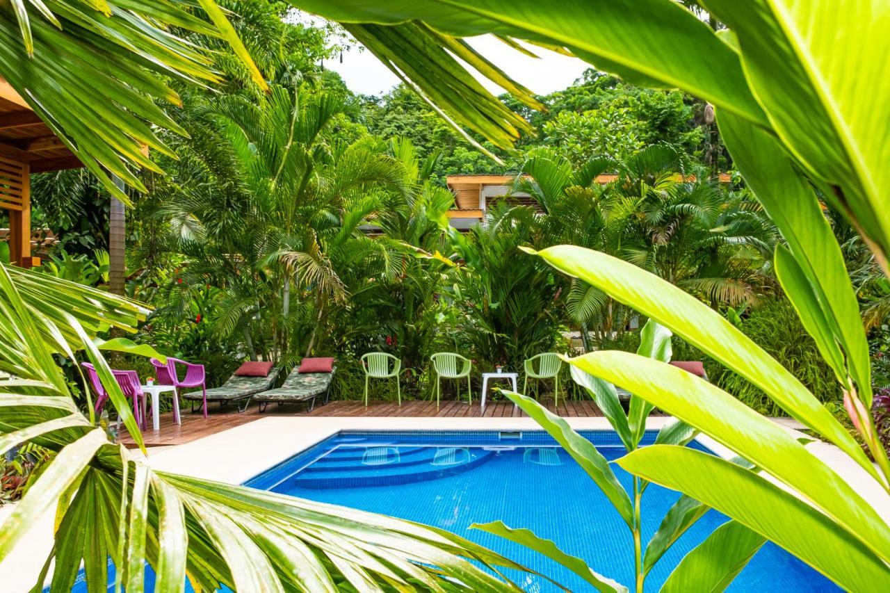 La Paz Del Caribe Adults Only Bed & Breakfast Puerto Viejo de Talamanca Exterior foto