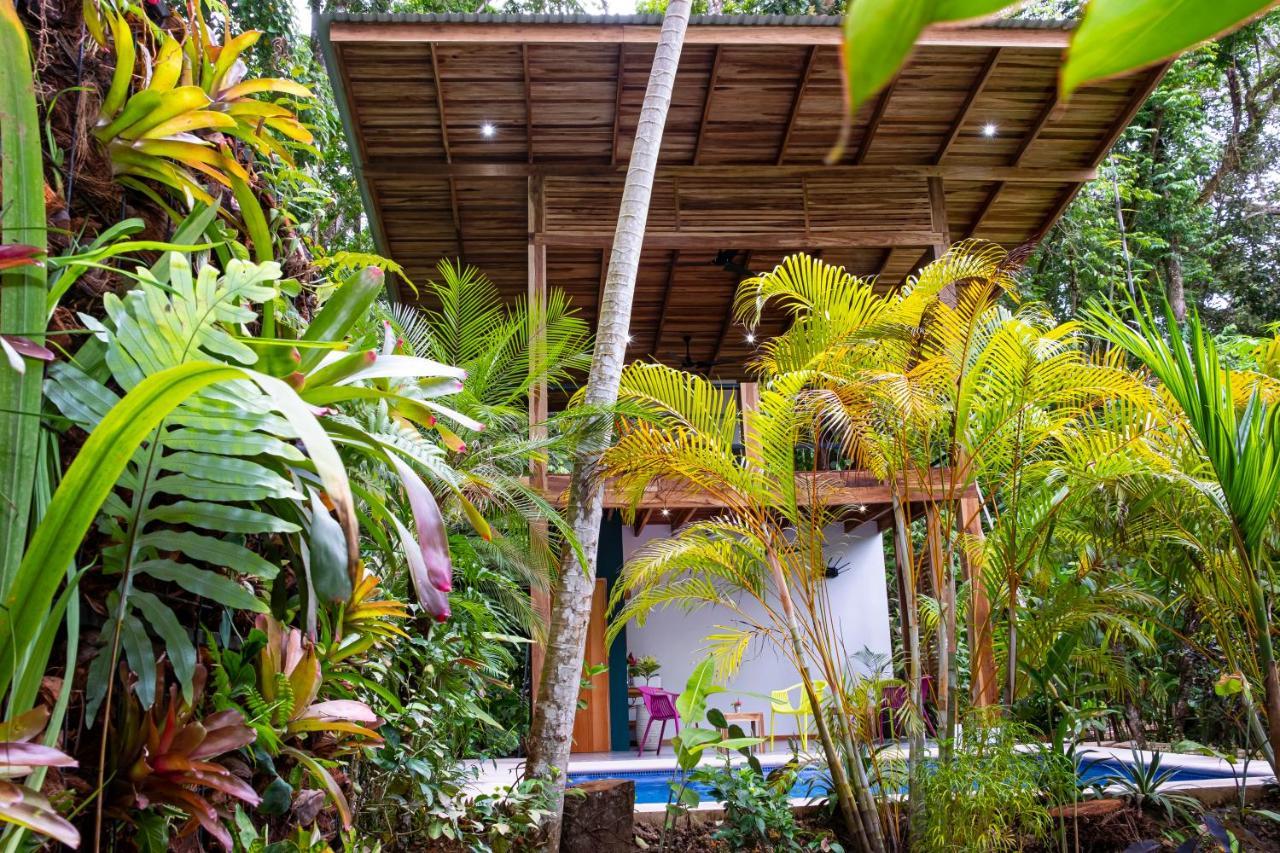 La Paz Del Caribe Adults Only Bed & Breakfast Puerto Viejo de Talamanca Exterior foto